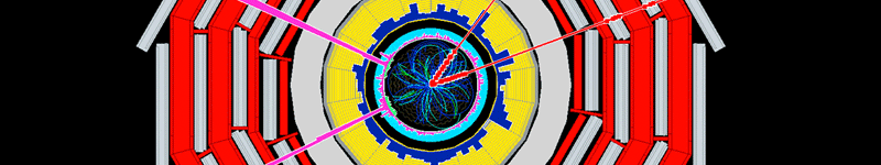 Simulation d'une détection du boson de Higgs dans le détecteur CMS